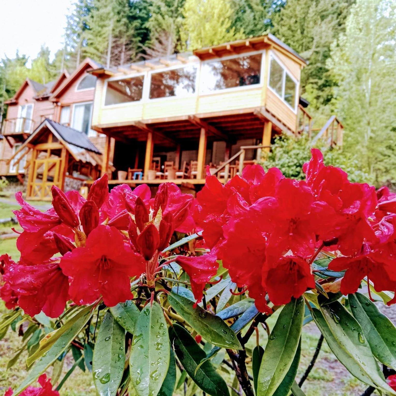 Hosteria Lekun Lekun Villa La Angostura Zewnętrze zdjęcie